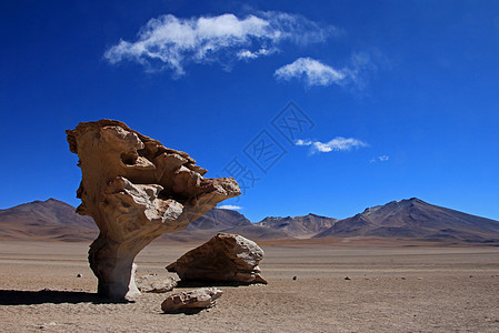 玻利维亚沙漠中的石树或木侵蚀高度火山石头假期冒险旅行探索荒野编队图片