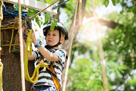 孩子们爬在冒险公园里 男孩喜欢爬绳子马具锁定幸福腰带森林童年耐力游戏障碍活动图片