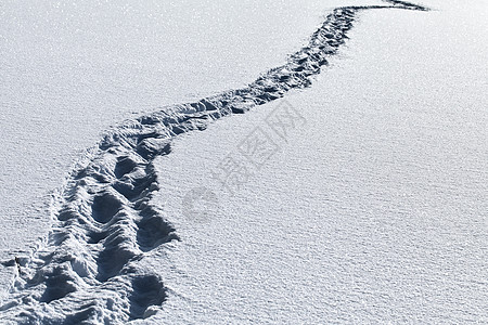 积雪中的脚步踪迹漂移人行道季节打印阳光雪堆痕迹娱乐冒险背景图片