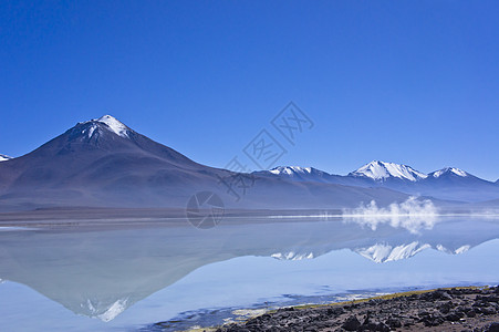 Altiplano湖 玻利维亚 南美洲海拔山脉湖泊拉丁火山蓝色沙漠高原反射天空图片