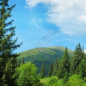 与蓝天相对的风雪山峰边坡山脉林地旅行蓝色地平线高地灌木环境风景图片