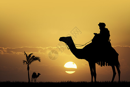 日落时 以骆驼为模木图片