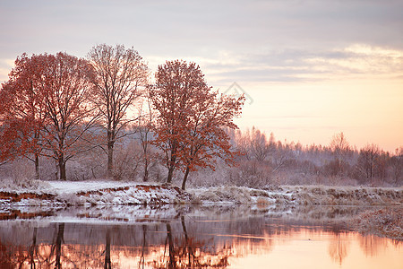 秋天黎明 秋水第一次下雪 橡树在山上背景图片