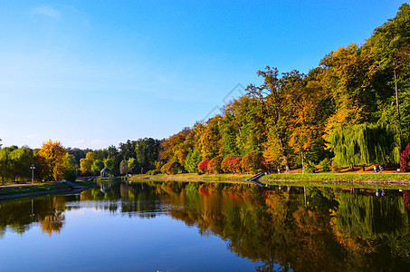 秋叶树枝与湖和天空相对 公园里阳光明媚的一天木头池塘橙子季节晴天蓝色草地植物叶子风景图片