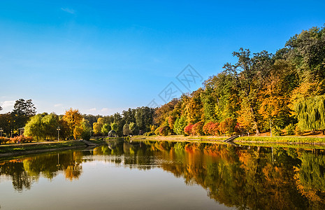 秋叶树枝与湖和天空相对 公园里阳光明媚的一天场景反射橙子蓝色草地风景树叶场地木头叶子图片