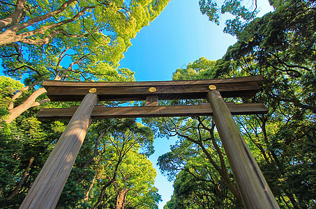 日本 东京 日本宗教场所神社建筑学花园公园寺庙建筑艺术图片