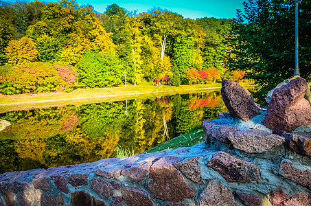 秋叶树枝与湖和天空相对 公园里阳光明媚的一天场地树叶季节木头反射场景晴天蓝色森林橙子图片