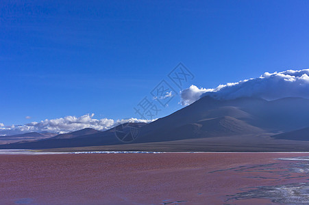 红湖 玻利维亚 南美洲湖泊沙漠火烈鸟蓝色火山拉丁海拔天空山脉高原图片