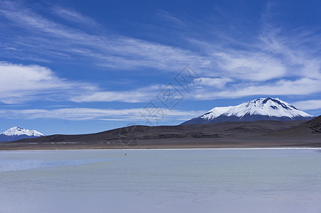 玻利维亚 南美洲沙漠高原拉丁蓝色山脉火山天空湖泊海拔图片