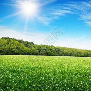 日出在绿地上环境草原天空天气光束蓝色植被植物地平线土地图片