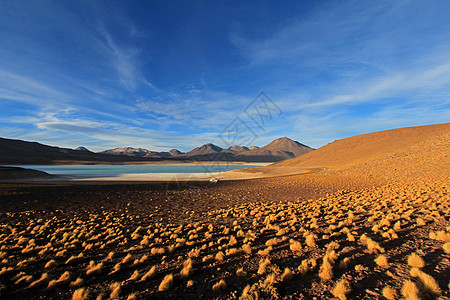 玻利维亚绿色环礁湖旅行边界火山反射沙漠爬坡顶峰国家风景荒野图片