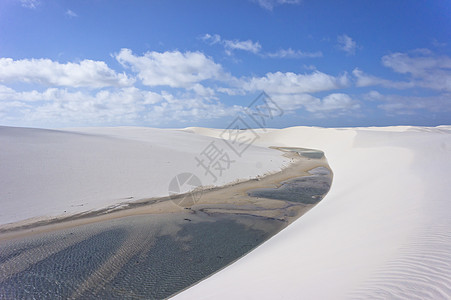 巴西 巴西 南美洲巴雷伊里尼哈拉丁热带沙漠图片