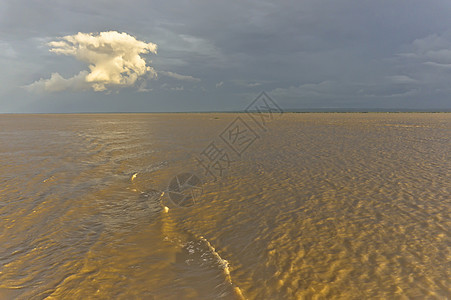 亚马逊流域 巴西 南美洲风暴游船热带拉丁丛林盆地浑水图片