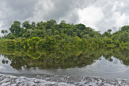 亚马逊流域 巴西 南美洲盆地反射丛林雨林月亮热带拉丁图片