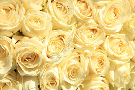 古老的白人婚嫁安排捧花浪漫植物群婚礼庆典婚姻中心装饰品白色玫瑰背景图片