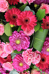 粉色和紫色婚礼勋章团体新娘花朵植物群花瓣庆典花束绿色婚姻玫瑰图片