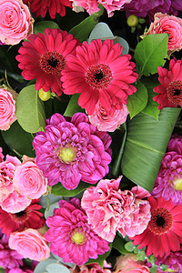 粉色和紫色婚礼勋章团体新娘花朵植物群花瓣庆典花束绿色婚姻玫瑰背景图片
