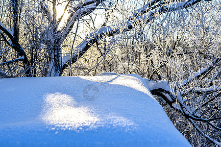 明亮的冬季风景 日出时森林里有树木天空场景降雪太阳蓝色桦木气候阳光晴天木头图片