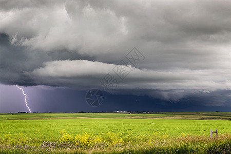 暴风云 萨斯喀彻温闪电场景闪电天空荒野风景草原天气风暴雷雨云景图片