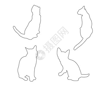 在白色背景上设置的猫的矢量路径哺乳动物小猫猫科墙纸动物女性团体艺术黑色收藏图片