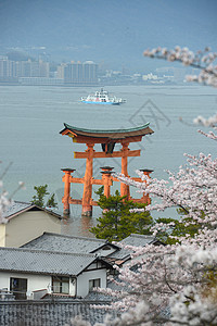 岛神道遗产建筑学神社寺庙宗教地标世界橙子樱花图片