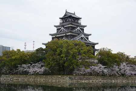 岛四岛公园植物群蓝色花园花瓣反射城堡旅行天空纪念馆图片