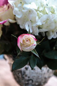 白花和粉红花的婚礼花束婚姻玫瑰浪漫新娘装饰绣球花风格花朵捧花粉色图片