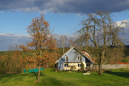德国农村景观 在德国Schoemberg黑森林附近有木屋国家晴天植物文化松树农场田园天空土地场地图片