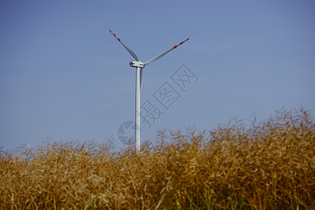 阳光明媚的风涡轮素气候力量绿色蓝色自然活力生产发电机农场天空背景图片