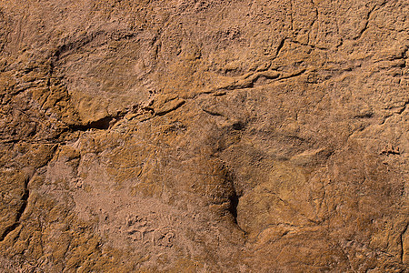 石块上的恐龙足迹遗迹脚印时代石器石头侏罗纪祖先生物学动物古生物学图片