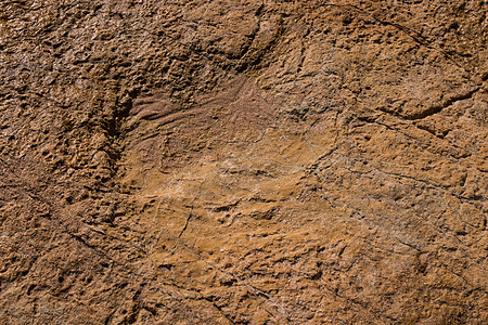 石块上的恐龙足迹踪迹石头模具印象痕迹烙印科学打印化石灭绝图片