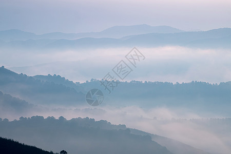 清晨的迷雾山爬坡天堂环境远景场景风景地平线旅行情绪天气图片