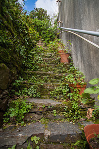 有植被的旧楼梯杂草石头灌木丛植物花园古董绿色建筑建筑学图片