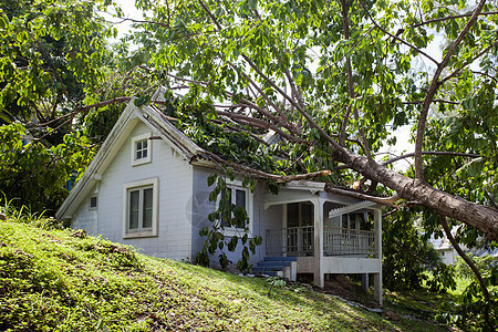 暴风雨过后倒在树上公园居民花园损害植物房子森林灾难风暴木头图片