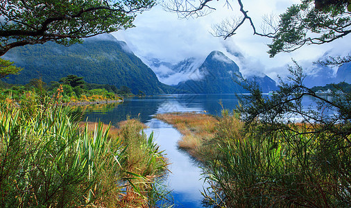 在fjord陆地国家公园中 米尔福德声音的另一个观点多云峡湾旅行植物地标港口海洋绿色环境图片