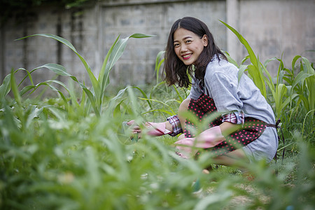 家庭园艺中的年轻年青女性 歇斯底里人的生活方式图片