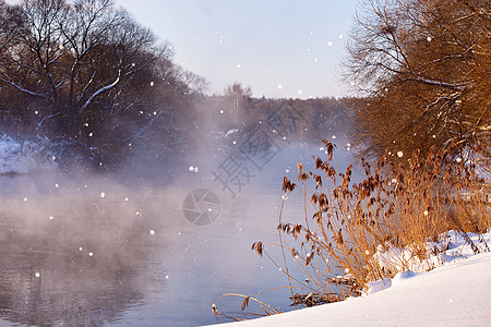 太阳和雪花 清晨在河上过冬天气旅行薄雾农村森林降雪蓝色季节天空阳光图片