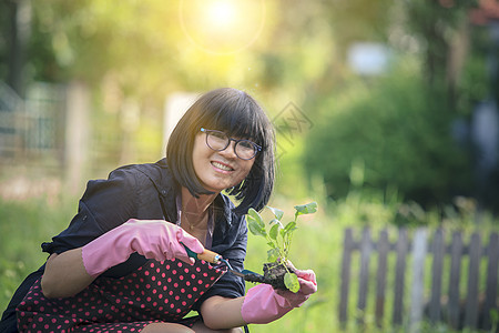 放松快乐情感的亚洲女性 种植有机蔬菜植物培植花园家庭场地女士闲暇幸福农业草地农场微笑背景图片