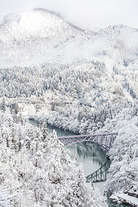 冬季风景冷冻铁路树木森林景观风光火车农村冰镇白色图片