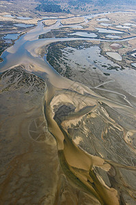 阿尔卡松州的沙丘风景旅行旅游沙漠荒野天线哺乳动物地形顶峰移民图片