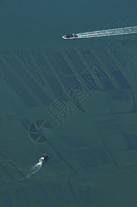 牡蛎船返回法国Arcachon港的空中景象图片
