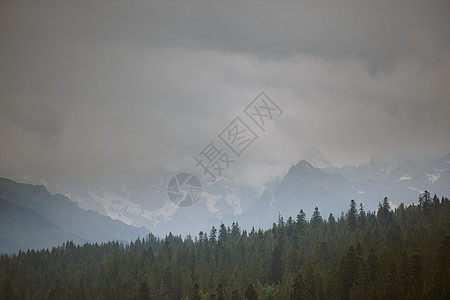 夏季山丘绿草和蓝天空景观地平线风景晴天环境农村天空场地土地爬坡国家图片