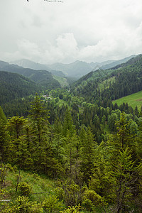 夏季山区地貌爬坡高地季节天空草地森林山脉晴天风景阳光图片