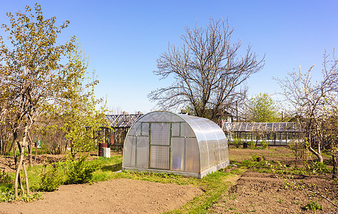 现代碳聚碳化合物温室生长生态植物食物建筑学种植场景绿色植物房子园艺图片