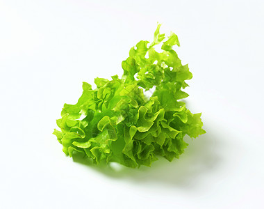 卢洛比翁达生菜叶菜绿色健康沙拉图片