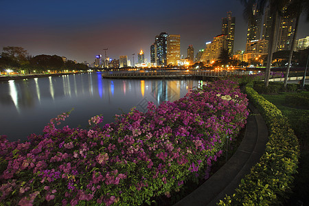 曼谷夜景美丽的水池的风景 重要的城市地表标志办公室纸花旅行镜子建筑商业公园景观城市生活植物背景