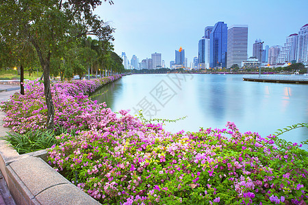 公共公园和摩天大楼的红红色纸花和湖泊办公室市中心商业土地地标花朵景观蓝色城市生活植物图片