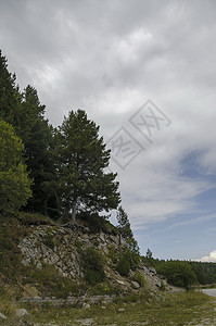 岩石山和公路上的绿林远足悬崖松树爬坡风景路面空气蓝色森林岩石图片
