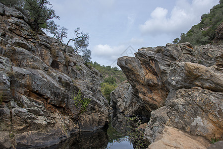 皮戈达斯皮亚斯水森林绿色树木石头岩石游泳图片