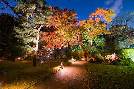 秋季照明橙子森林金子池塘季节城市公园反射树木叶子图片